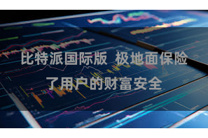 比特派国际版 极地面保险了用户的财富安全