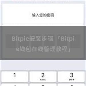 Bitpie安装步骤 「Bitpie钱包在线管理教程」