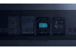 比特派去中心钱包App  比特派钱包还领有一个专科的工夫团队