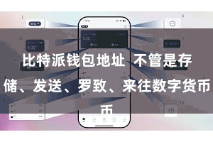 比特派钱包地址  不管是存储、发送、罗致、来往数字货币